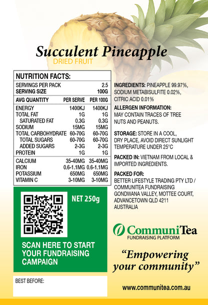 Dried Fruit - Succulent Pineapple